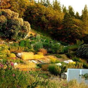 Organic Fertilizer Recommendation